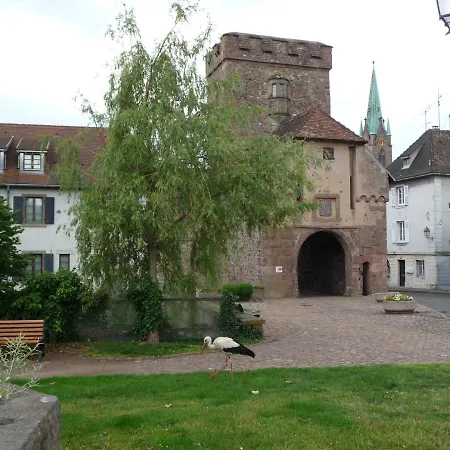 Sur La Route Des Vins D'alsace Apartament Cernay (Haut-Rhin)