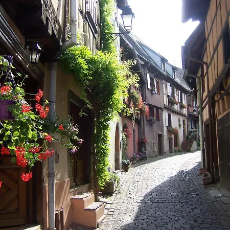Apartament Sur La Route Des Vins D'alsace