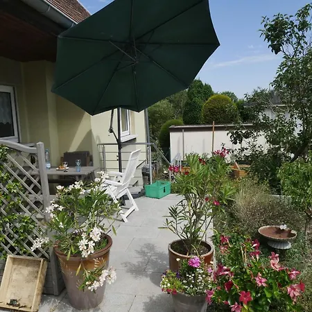 Sur La Route Des Vins D'alsace * セルネー