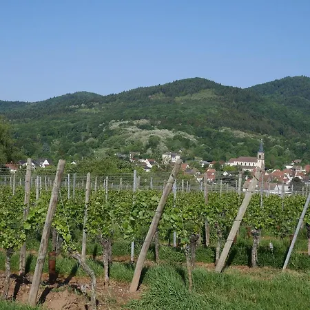 アパート Sur La Route Des Vins D'alsace *