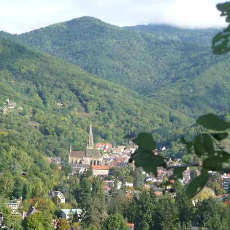 Sur La Route Des Vins D'alsace アパート セルネー