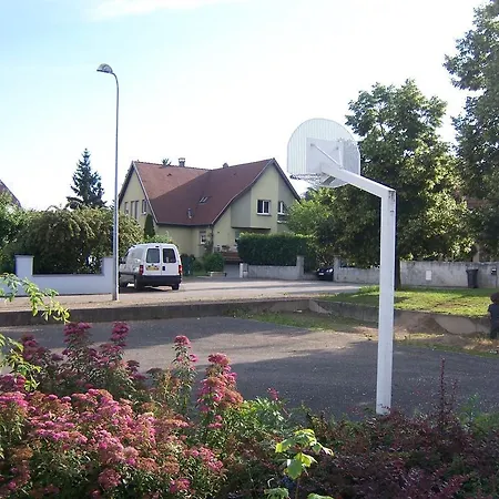 Sur La Route Des Vins D'alsace