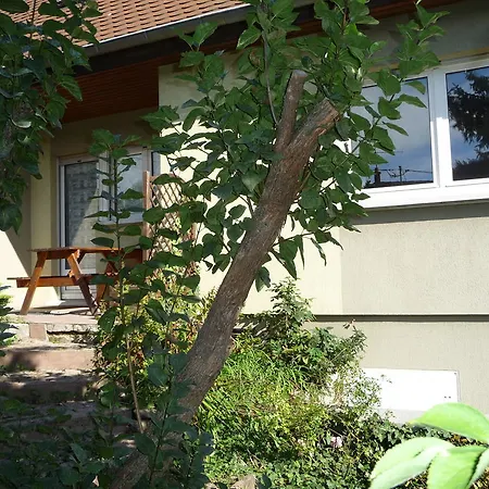 Sur La Route Des Vins D'alsace