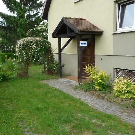 Sur La Route Des Vins D'alsace